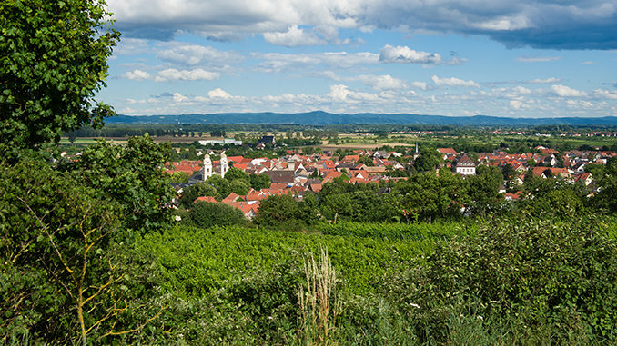 guntersblum_web